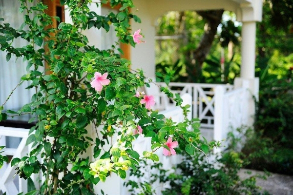 Hotel Coral Seas Beach Resort (Whitehall)
